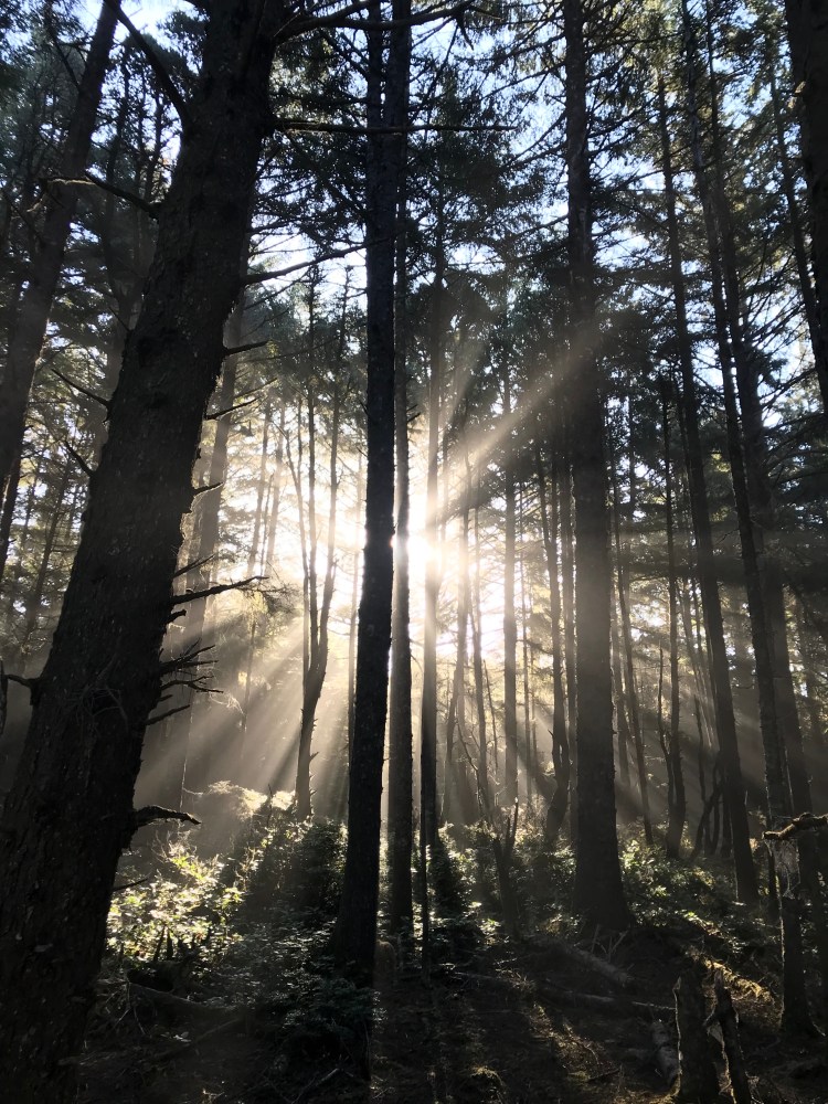 coXgnkUrQ22%q%mVa495rQ